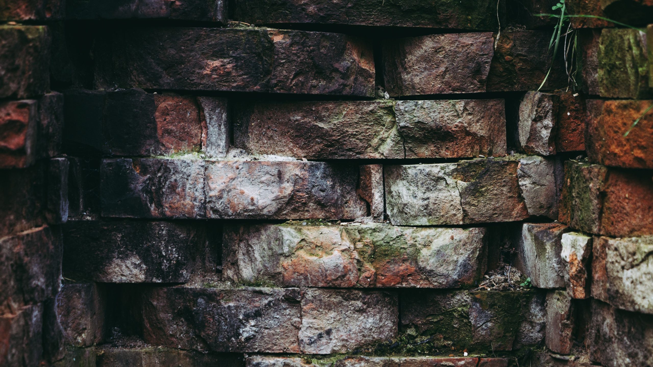 Mur rustique moussu aux textures usées