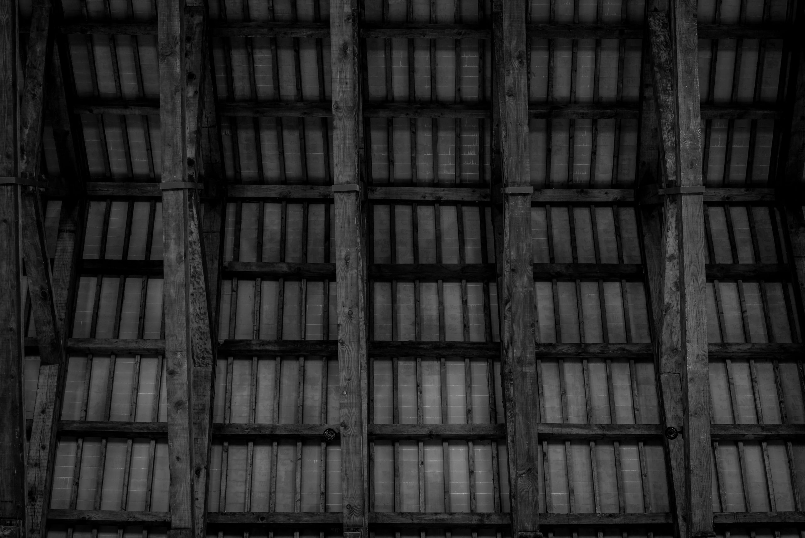 Plafond bois poutres treillis contraste monochrome