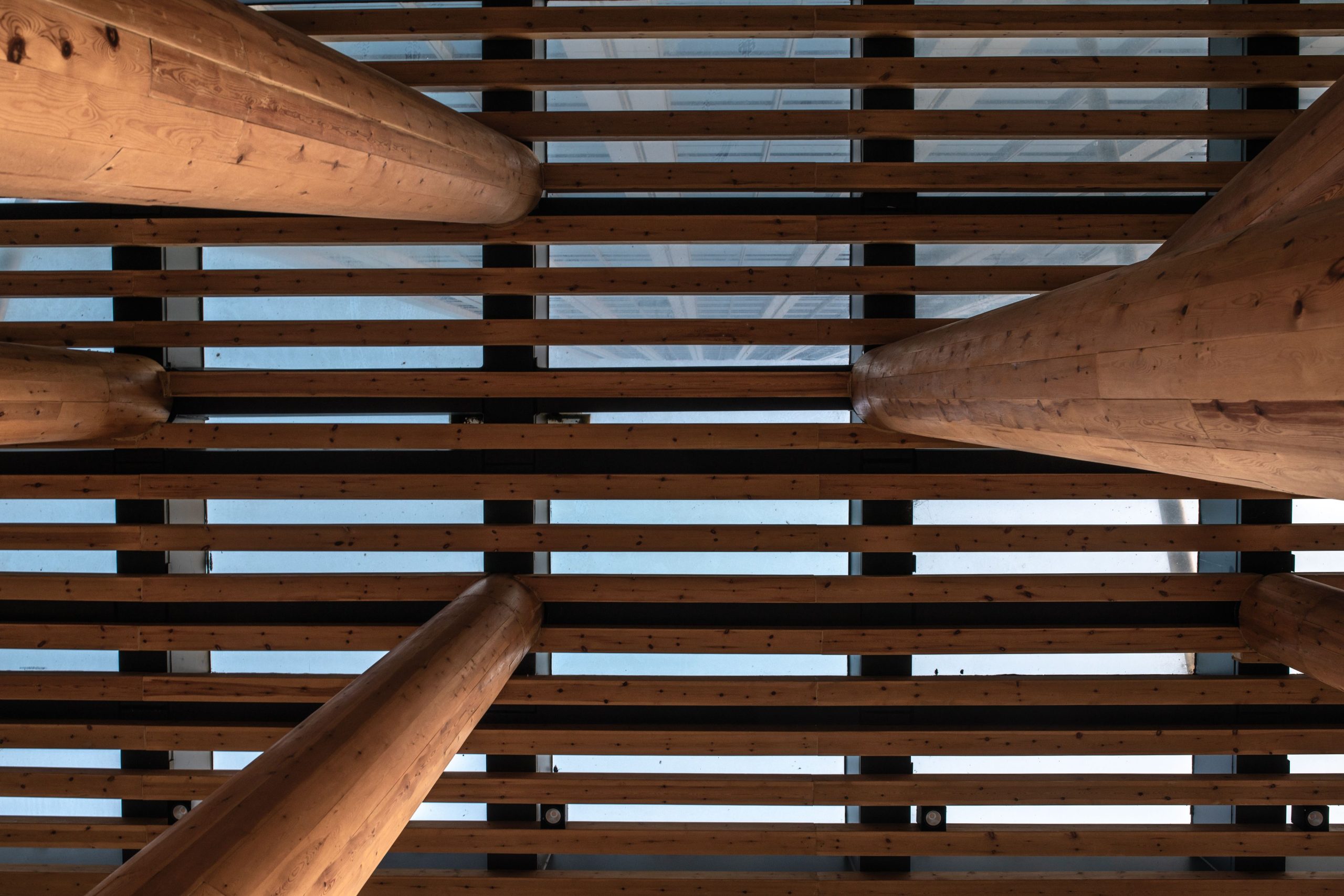 Structure complexe poutres bois vue dessous